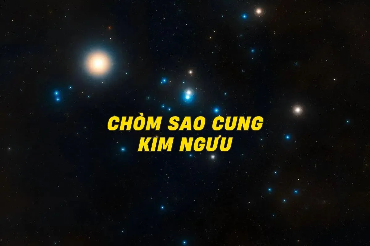 chom-sao-cung-kim-nguu-0