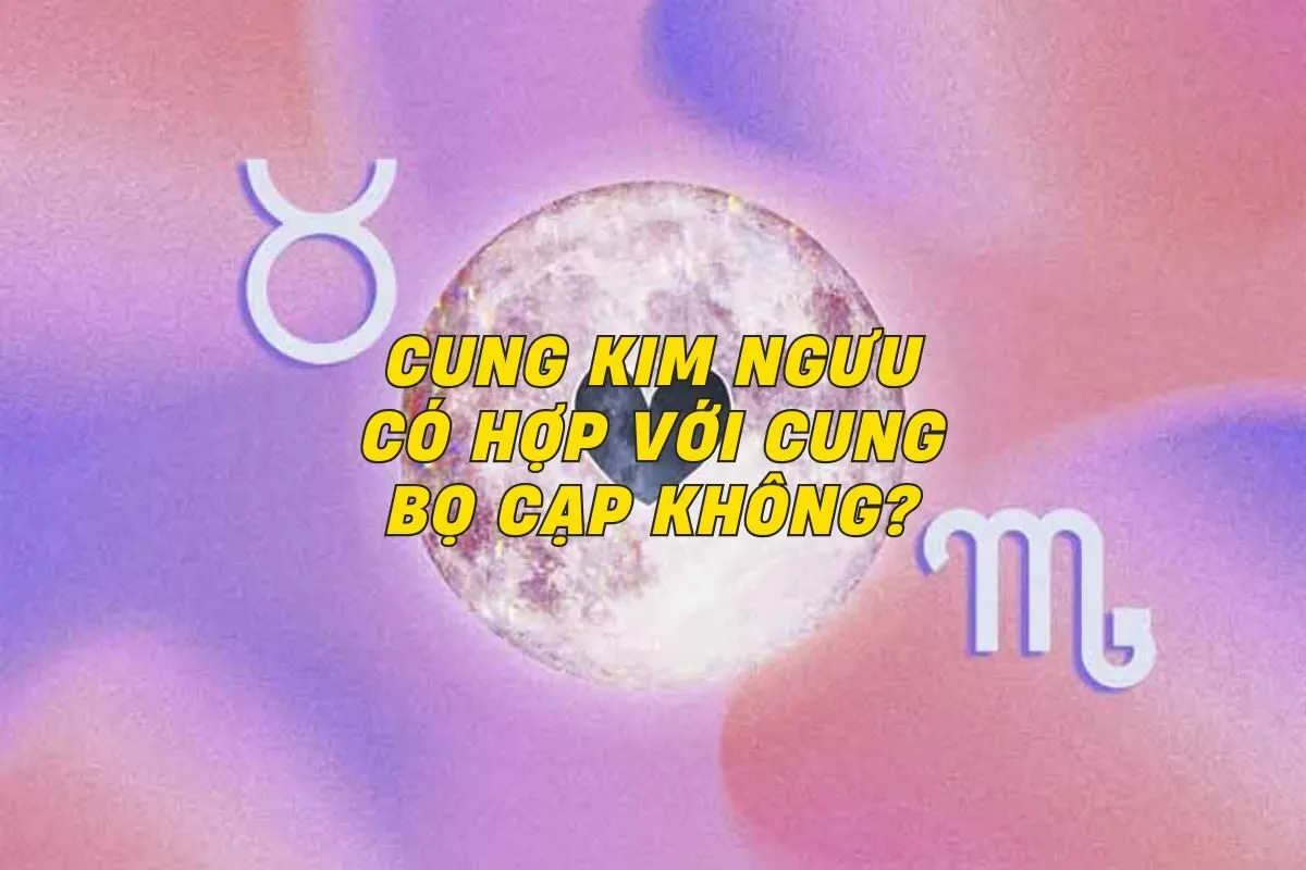 cung-kim-nguu-co-hop-voi-cung-bo-cap-khong-0