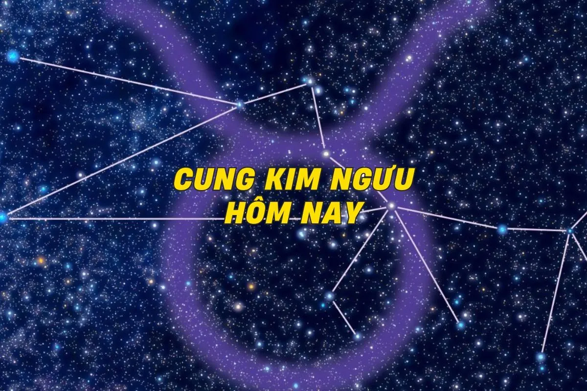 cung-kim-nguu-hom-nay-0