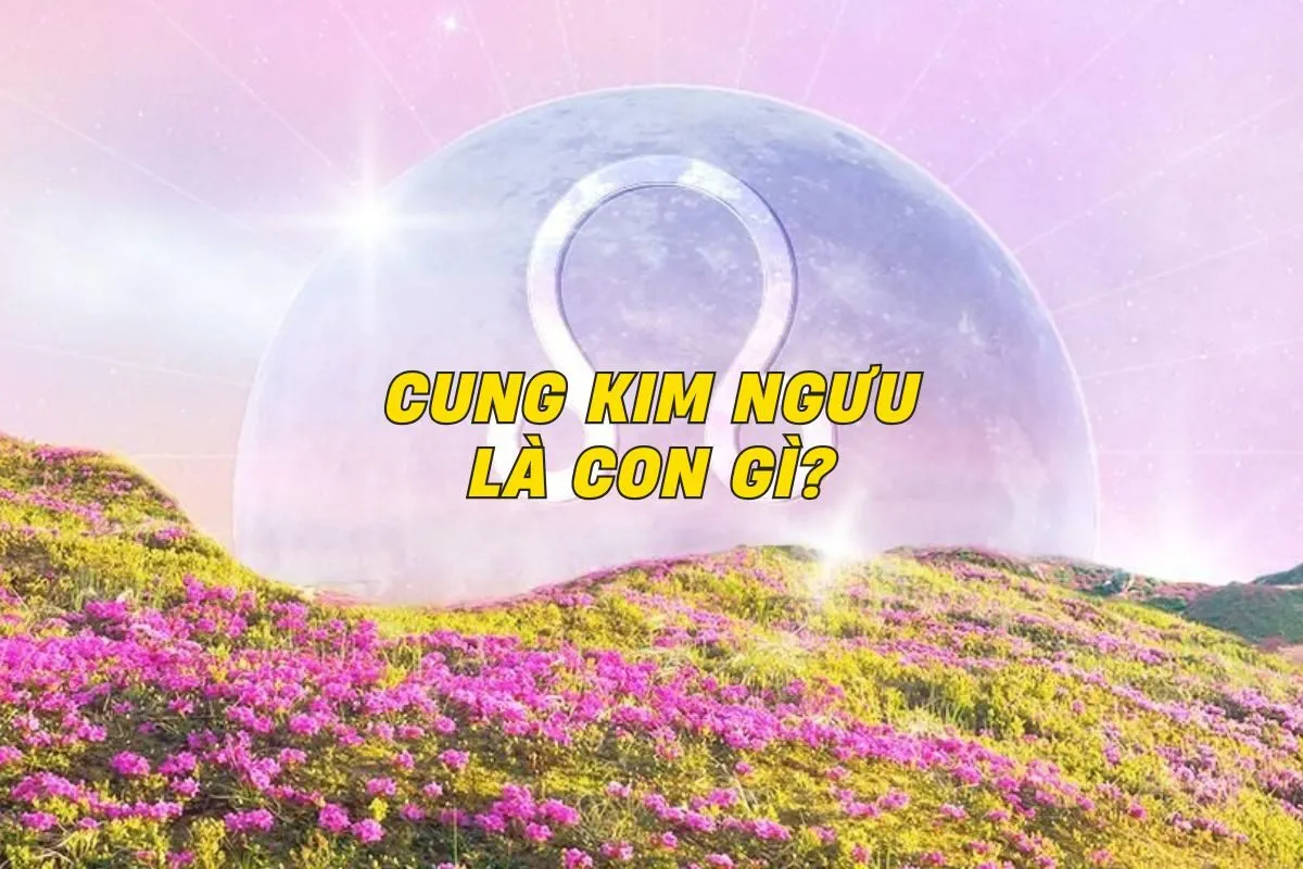 cung-kim-nguu-la-con-gi-0