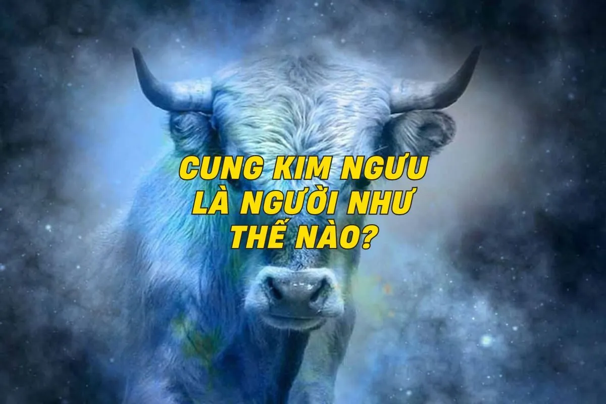 cung-kim-nguu-la-nguoi-nhu-the-nao-0