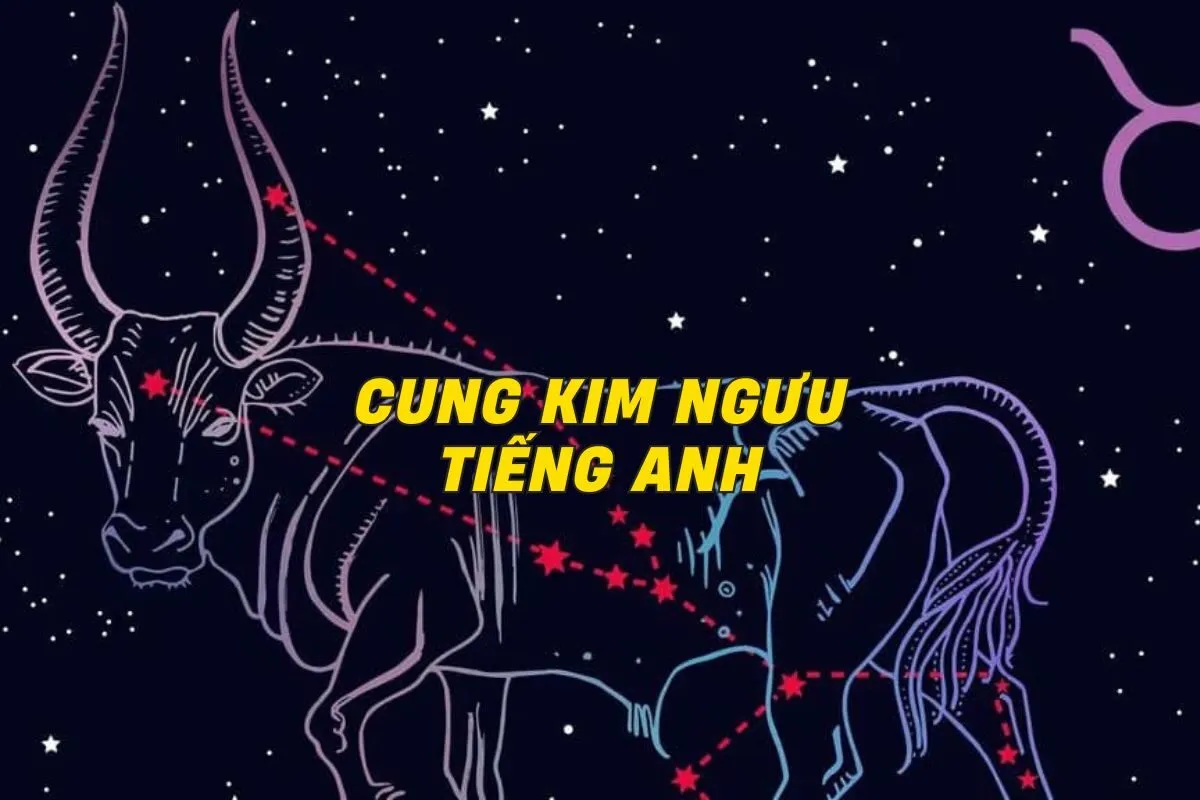 cung-kim-nguu-tieng-anh-0