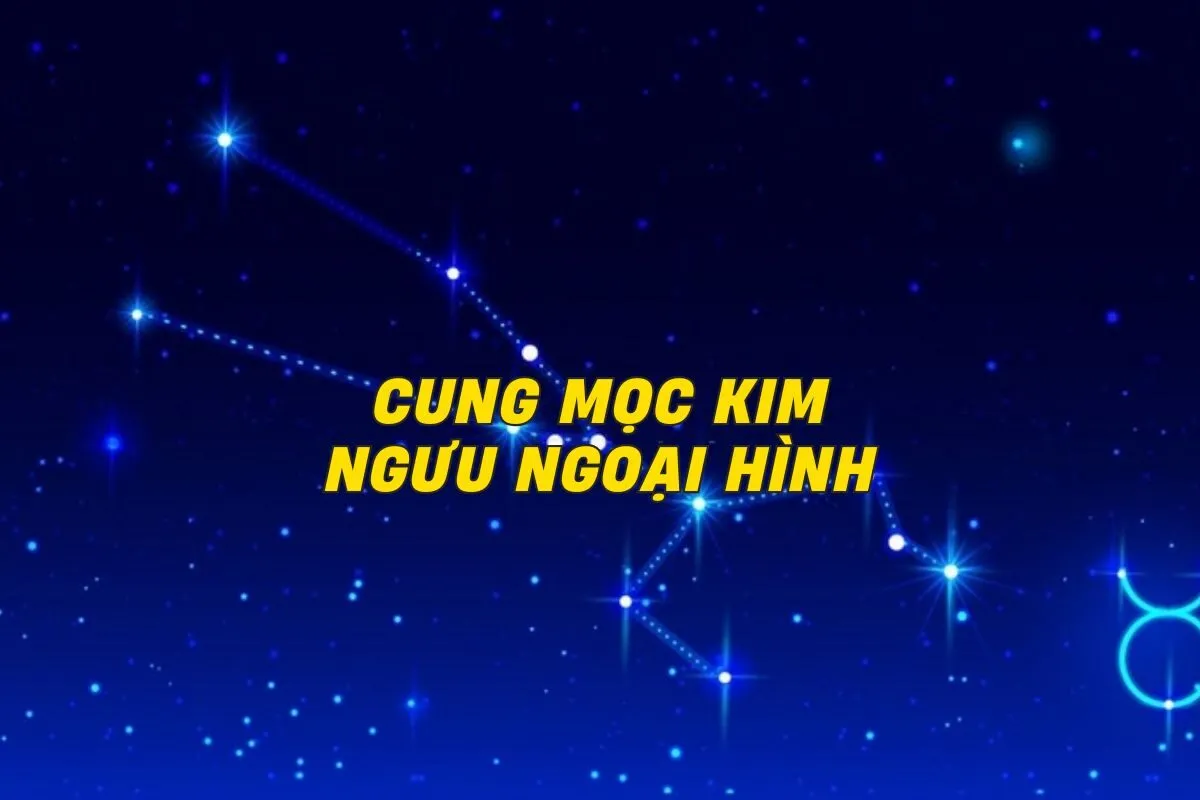 cung-moc-kim-nguu-ngoai-hinh-0