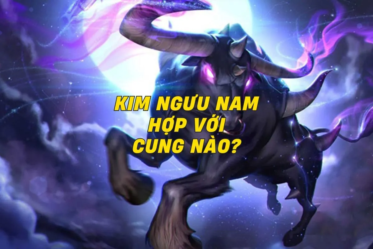 kim-nguu-nam-hop-voi-cung-nao-0