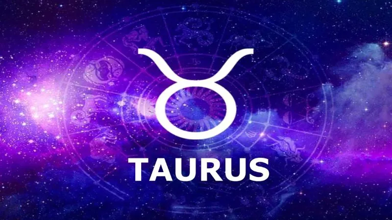 Giải Mã Đặc Điểm Nổi Bật Nam Kim Ngưu: Tính Cách, Tình Yêu