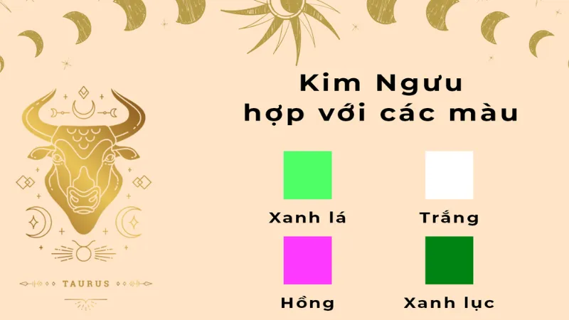 Top màu sắc hợp nam Kim Ngưu theo từng hoàn cảnh