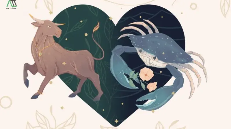 Chiến lược ứng xử: cách chinh phuc nam Kim Ngưu bền vững