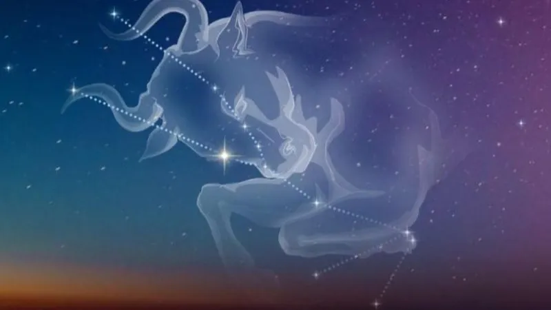 Cung Kim Ngưu Thích Tính Cách Nào? Giải Mã Từ A Đến Z Đầy Đủ