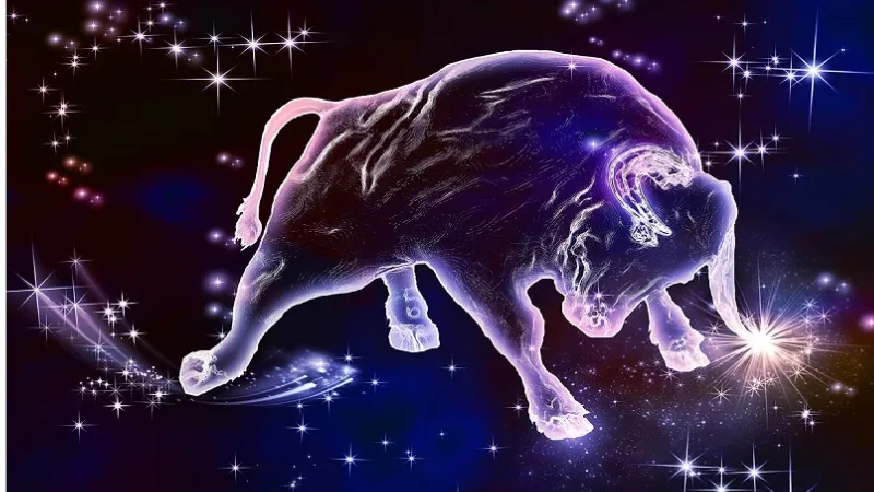 Hành Trình Khám Phá Vẻ Đẹp Cung Kim Ngưu Tinh Tế, Trọn Vẹn